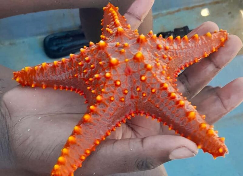 ZANZIBAR: BLUE LAGOON TOUR - Introduction