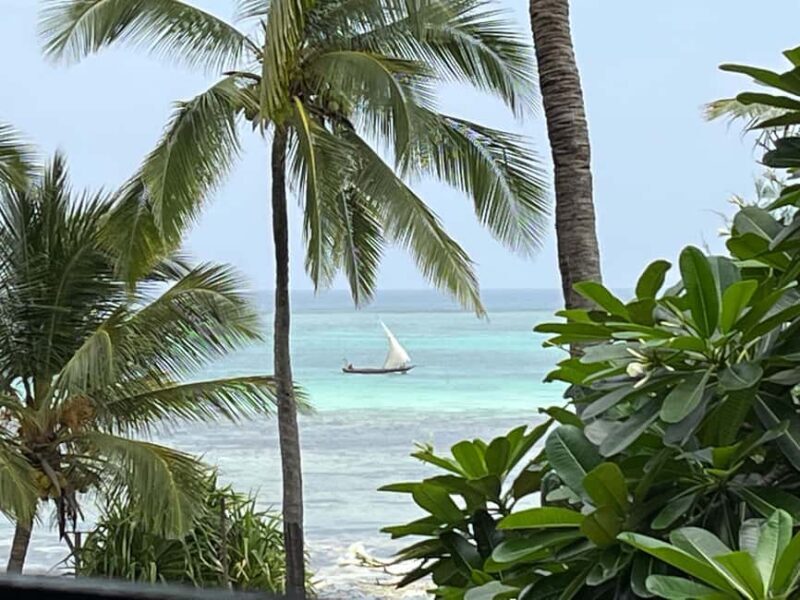 ZANZIBAR: BLUE LAGOON TOUR - FAQ
