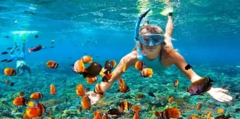 Zanzibar: Blue Lagoon with Snorkeling and Jozani Forest Tour - Key Points