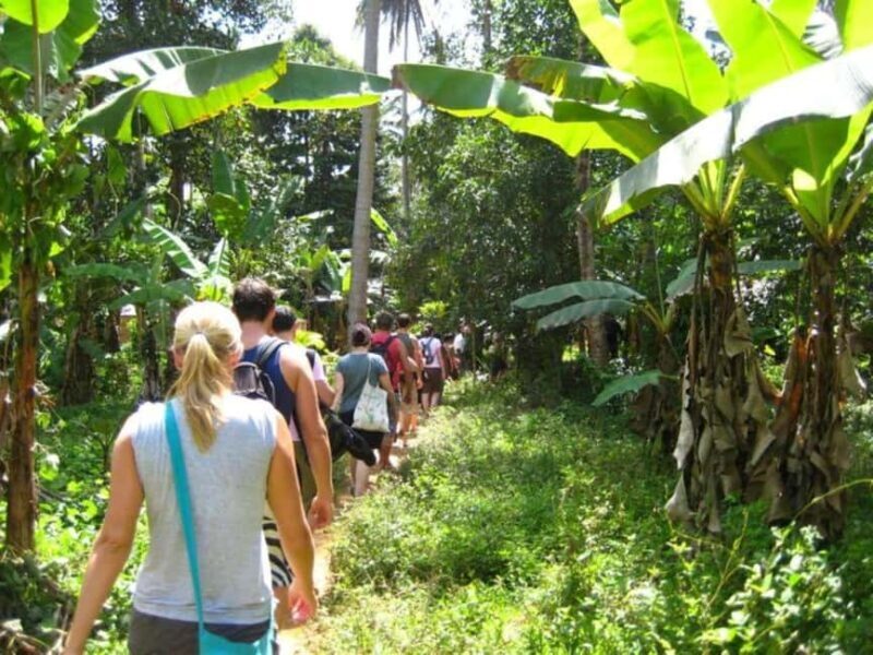 Zanzibar City: Spice Farm Tour - The Practical scoop