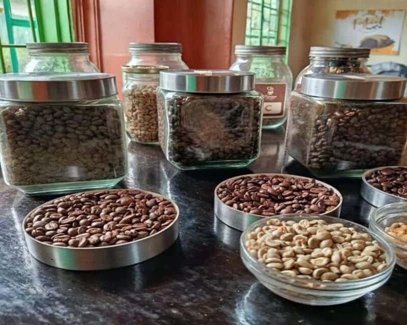 Zanzibar: Coffee Farm Tour & Transparent Kayak Adventure - Key Points
