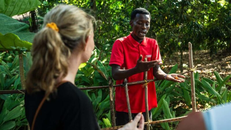 Zanzibar: Day Jozani Forest,Spice Farm,Nature and Savor Tour - Who Should Consider This Tour?