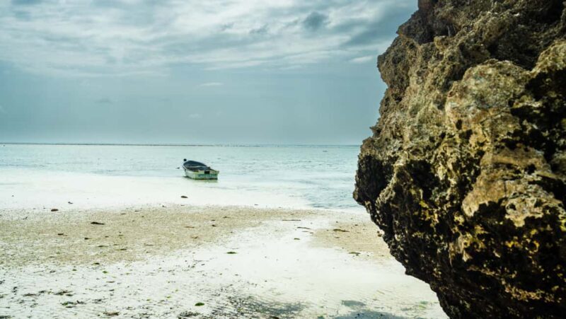 Zanzibar Day Secret Beach, Jozani, Ngonga Cave with transfer - Key Points