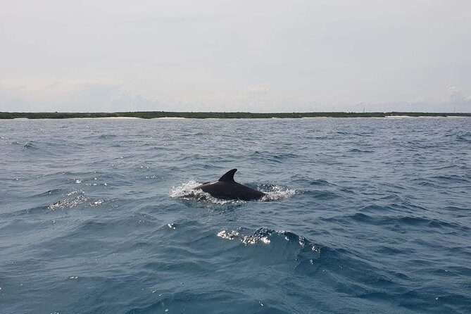 Zanzibar Deep Sea Fishing & Local fishing. - FAQ