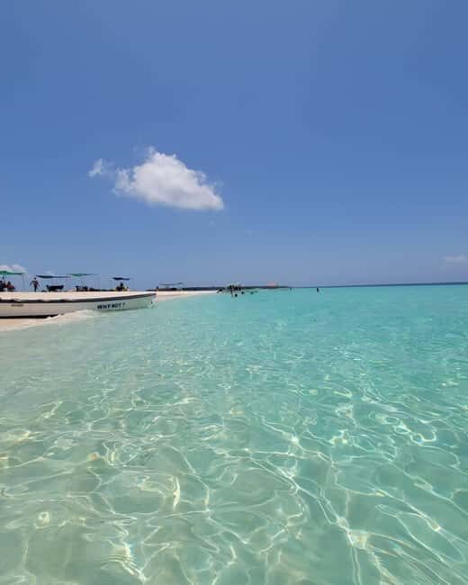 Zanzibar: Discover fullday snorkeling +sandbank BBQ - Final Thoughts: Is It Worth It?