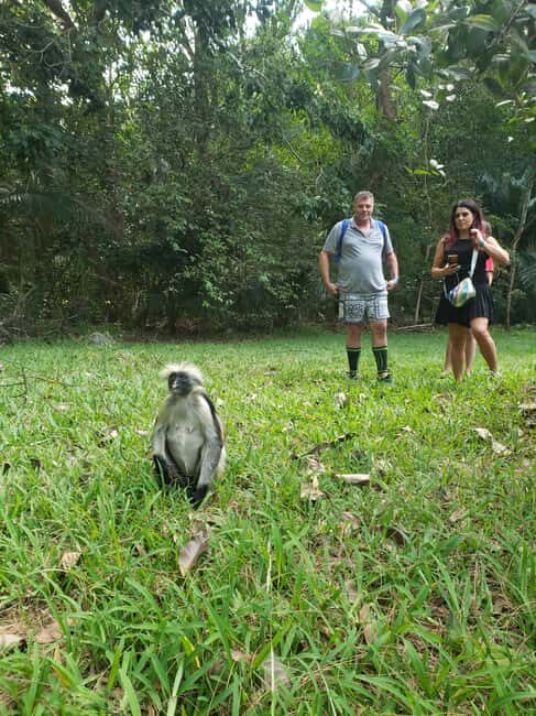 Zanzibar: Discover Red Colobus Monkey in Jozani forest tour - The Value of the Experience