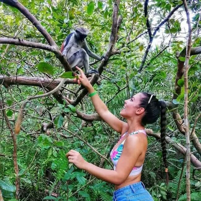 Zanzibar: Discover Red Colobus Monkey in Jozani forest tour - The Sum Up