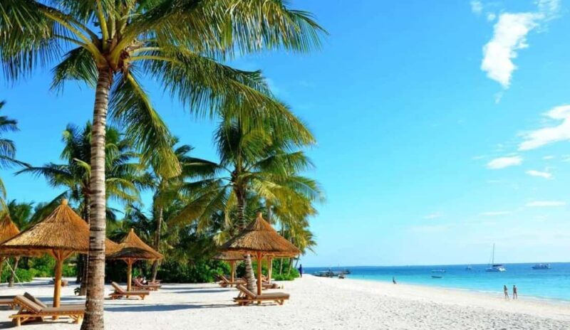 Zanzibar: Discovering paradise A Day Trip at Kendwa Beach - The Practical Details