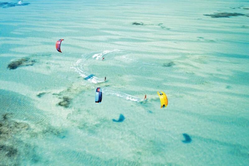 Zanzibar - Dolphin tour & Mnemba from Nungwi or Kendwa - What to Expect from the Tour