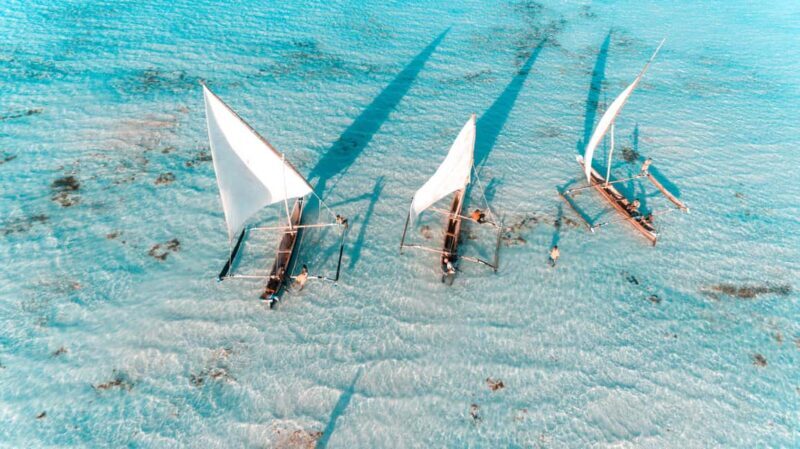 Zanzibar Dolphin tour & Snorkeling at Mnemba reef - Practical Details: What’s Included and What to Bring