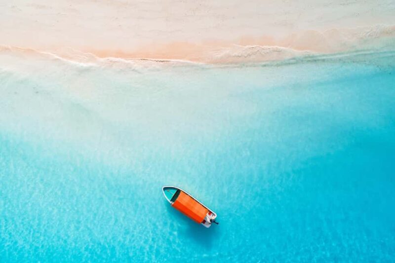 Zanzibar Dolphin tour & Snorkeling at Mnemba reef - Who Should Consider This Tour?