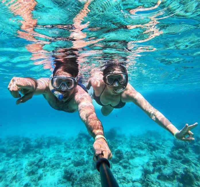 Zanzibar dolphins+ snokling at mnemba with turles swimming - The Sum Up: Is This Tour Worth It?