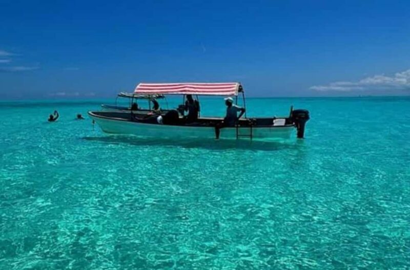 Zanzibar: Dolphins tour, Baraka Aquarium and Spice farm - An In-Depth Look at This Zanzibar Tour