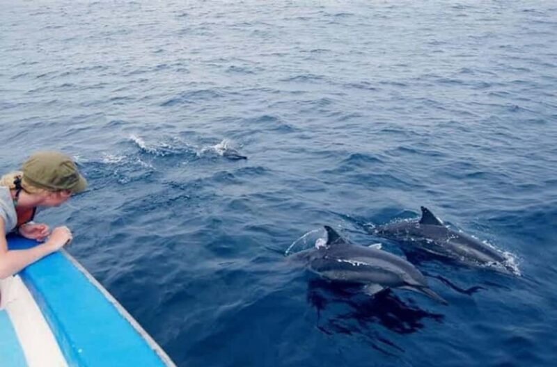 Zanzibar: Dolphins tour, Baraka Aquarium and Spice farm - Final Thoughts