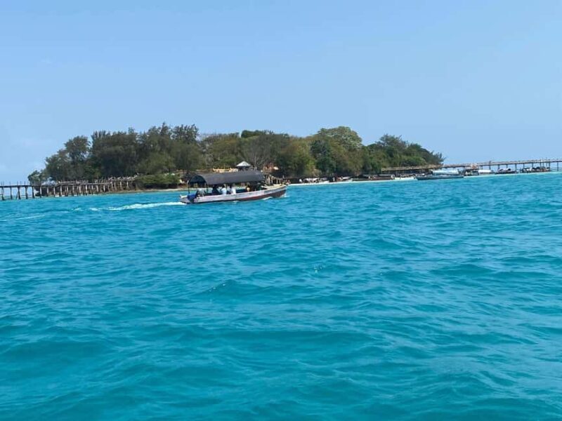 Zanzibar: Dolphins tour, Spice farm & Stone town city tour - Who is This Tour Best For?