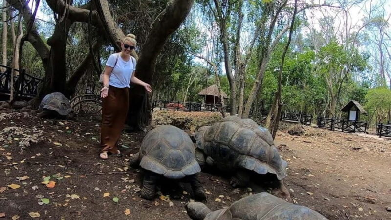 Zanzibar: Explore Prison Island, tortoises and Jozani forest - Final Thoughts