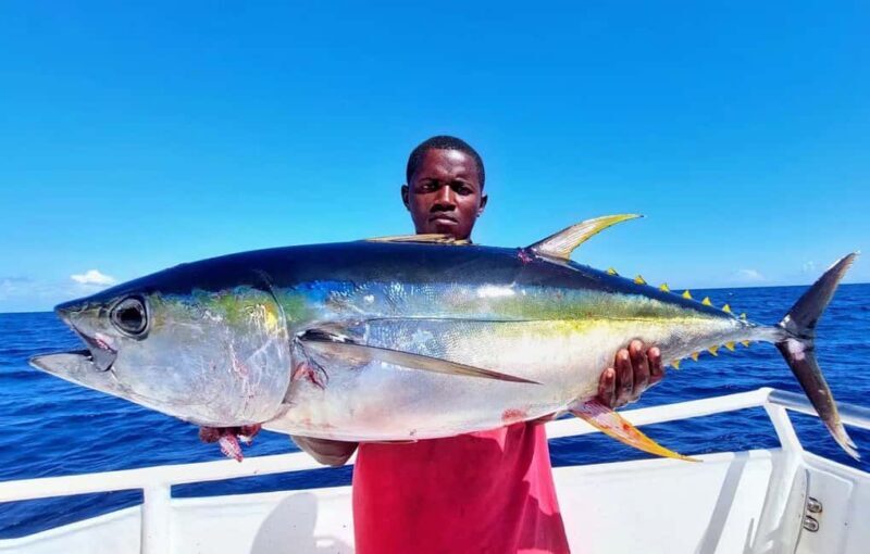 ZANZIBAR FISHING EXPRIENCE - Reef Fishing and Marine Encounters