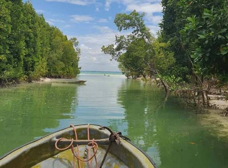 Zanzibar: Flower Garden & Mangroves Kayaking Tour at Uzi. - An In-Depth Look at the Zanzibar Flower Garden & Mangroves Kayaking Tour