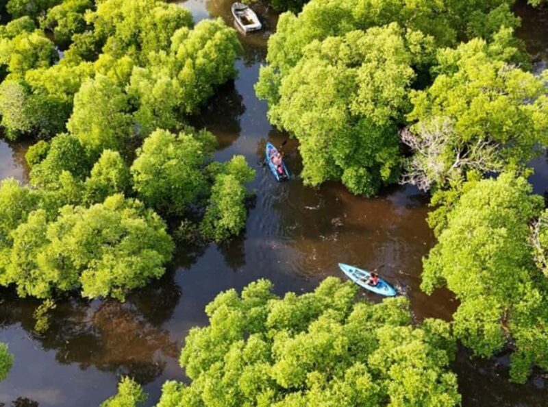 Zanzibar: Flower Garden & Mangroves Kayaking Tour at Uzi. - The Sum Up