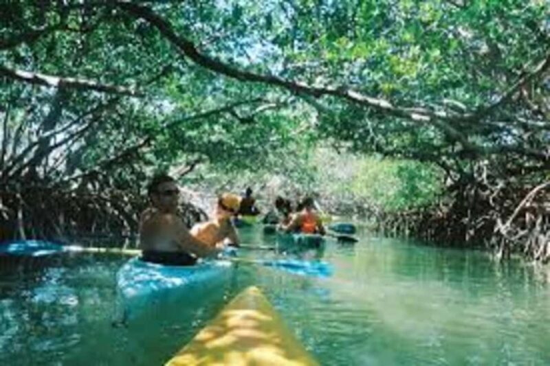 Zanzibar: Full-Day Kayak Adventure Experience - Who Should Consider This Tour?