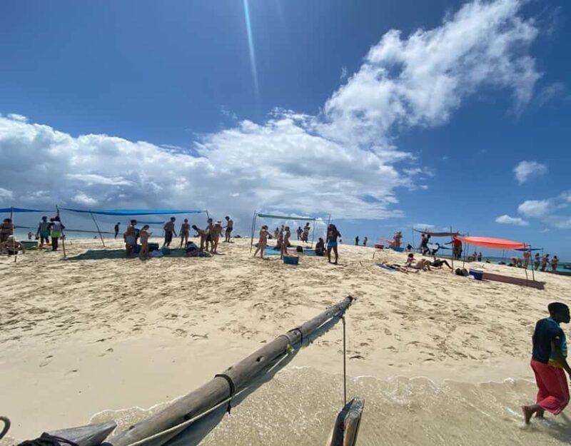 Zanzibar: Full day Kizimkazi Dolphin Tour and Pungume Island - Introduction
