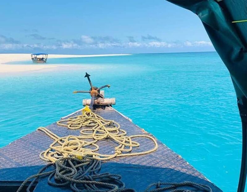 Zanzibar: Full day Kizimkazi Dolphin Tour and Pungume Island - Key Points