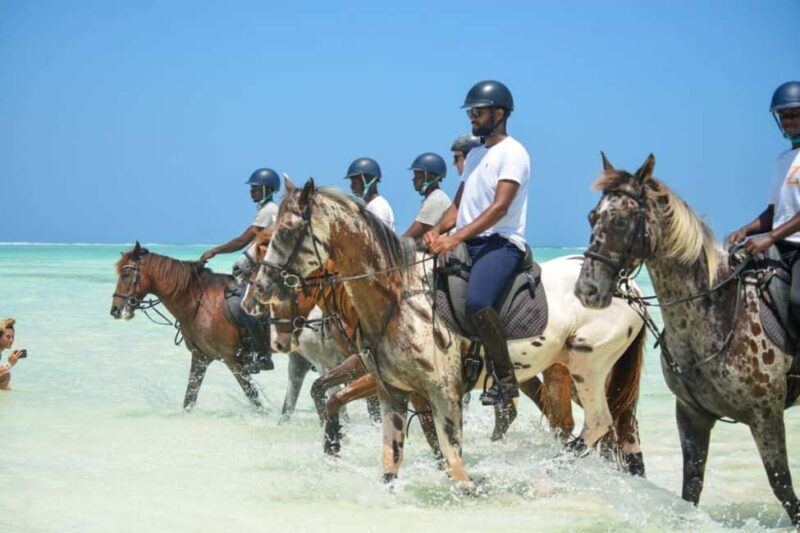 Zanzibar: Half-Day Horseback Riding Adventure with Pickup - Zanzibar: Half-Day Horseback Riding Adventure with Pickup – An Authentic Ride through Natural Beauty
