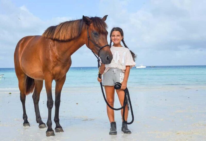 Zanzibar: Half-Day Horseback Riding Adventure with Pickup - The Value and Practicalities