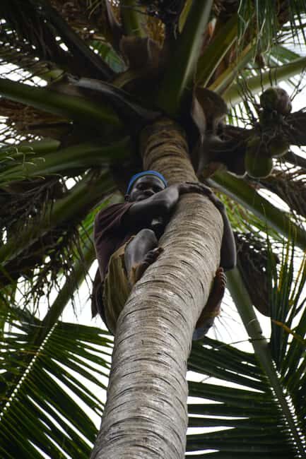 Zanzibar: Half-Day Prison Island, Tortoises and Spices Tour - FAQs