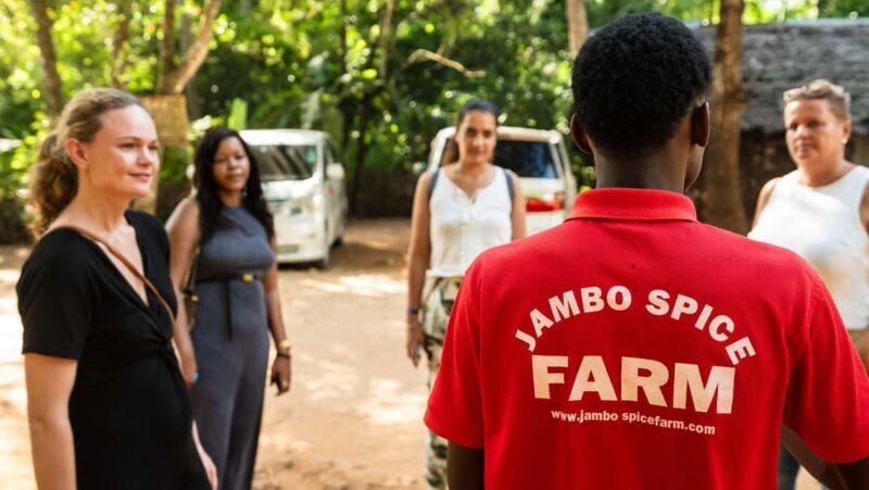 Zanzibar: Half-day Spice Farm, Classic Reef Submarine tour - Final Thoughts
