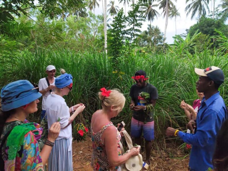 Zanzibar: Half-Day Spice Farm Tour,the flavours of Zanzibar - FAQs