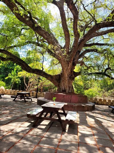 Zanzibar: Half-Day Tour Prison & Turtle Island tour - Visiting Prison Island: What to Expect
