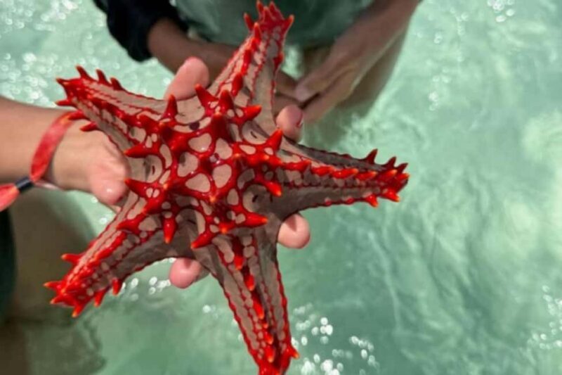 Zanzibar hidden: Starfish, Blue Lagoon, &The Rock Restaurant - The Iconic Rock Restaurant – Dining with a View