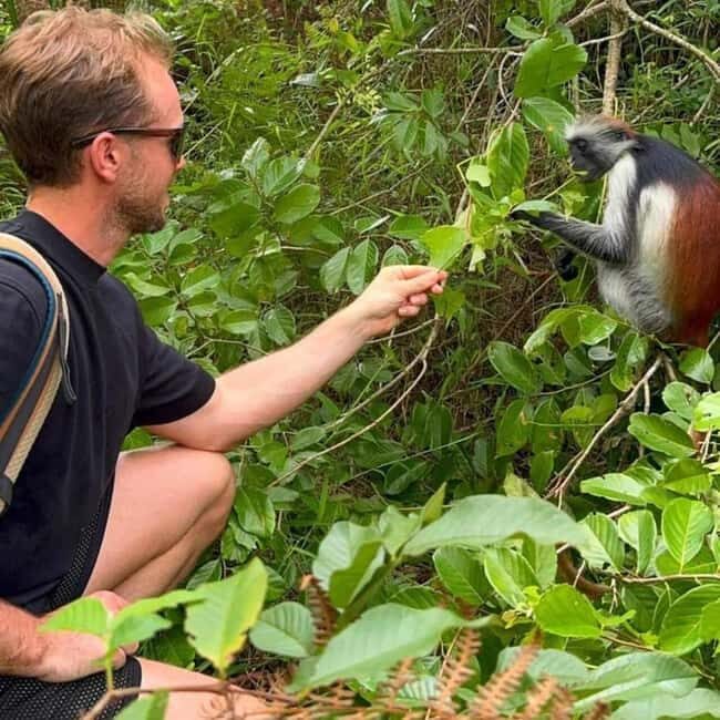 Zanzibar: Into the Wild-Red Colobus Safari in Jozani Forest - Zanzibar: Into the Wild-Red Colobus Safari in Jozani Forest — A Genuine Wildlife Encounter