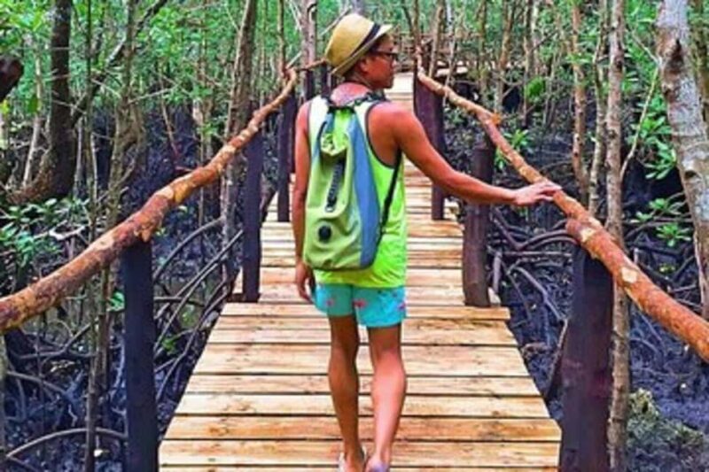 Zanzibar: Into the Wild-Red Colobus Safari in Jozani Forest - Who Will Love This Tour?