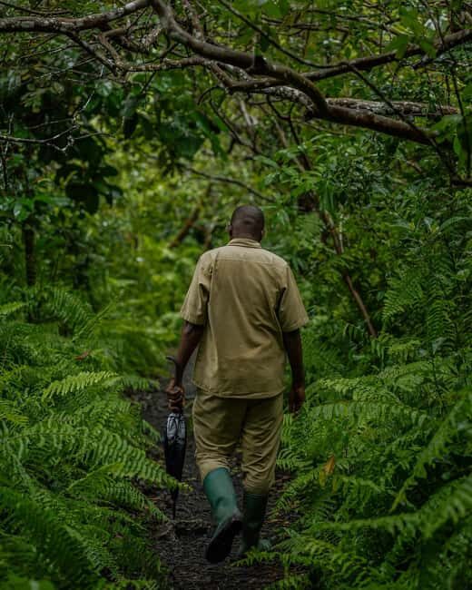 ZANZIBAR; JOZANI FOREST - Key Points