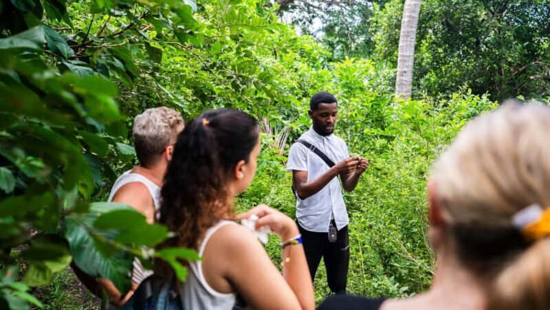 Zanzibar : Jozani forest and Butterfly centre with transfer - Who Will Love This Tour?