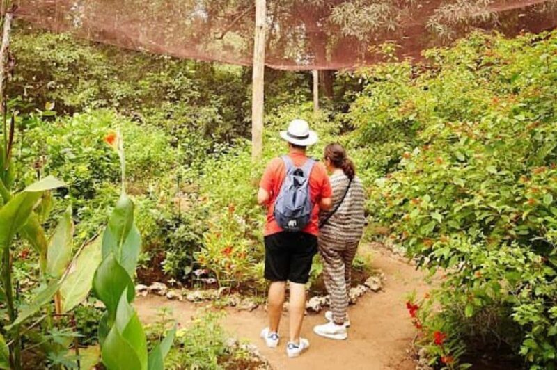 Zanzibar: Jozani forest and Butterfly day tour - The Details that Make a Difference