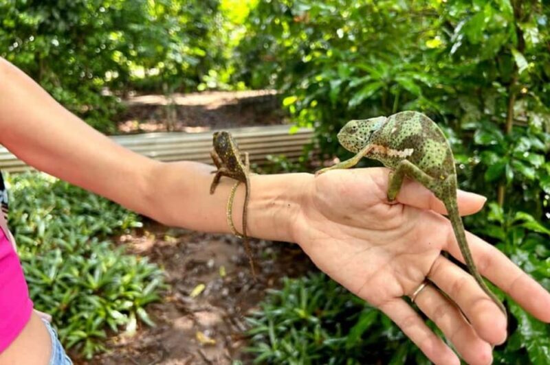 Zanzibar: Jozani forest and Butterfly day tour - FAQ