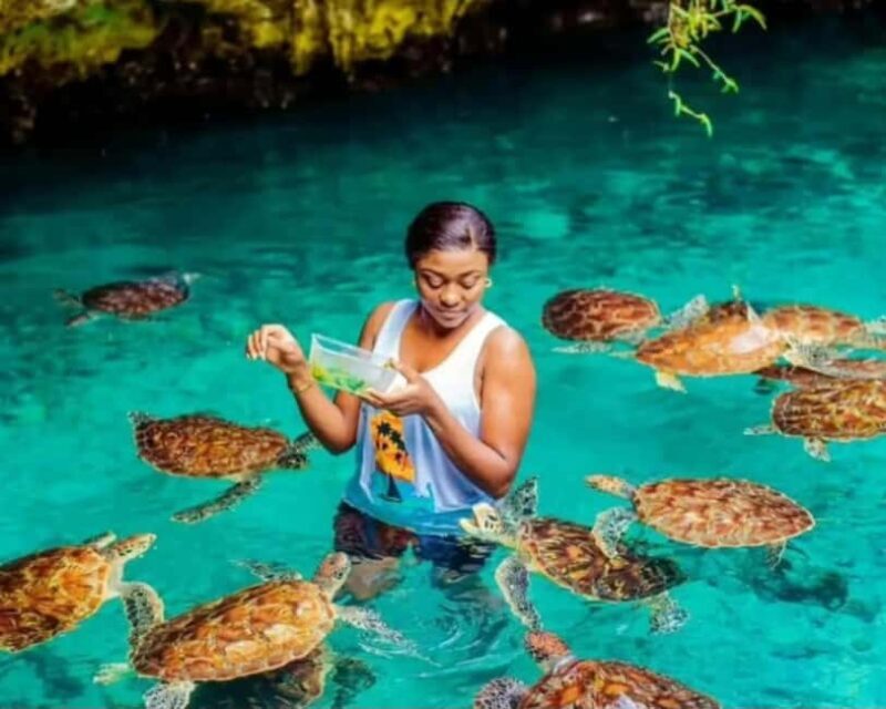Zanzibar: Jozani Forest and Salaam Cave Tour - An Honest Look at the Itinerary