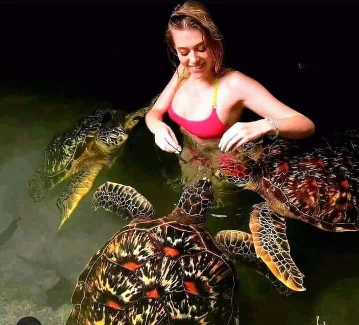 Zanzibar: Jozani Forest and Salam Cave Tour - A Closer Look at the Tour