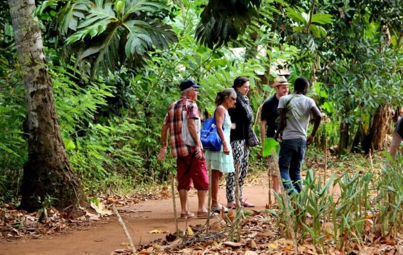 Zanzibar: Jozani Forest and Spice Farm Tour with Transfer - Key Points