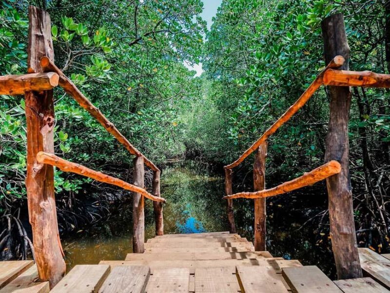 Zanzibar: Jozani Forest and Spice Farm Tour with Transfer - Authentic Encounters & Honest Impressions