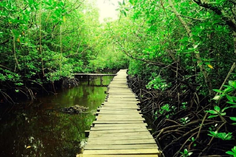Zanzibar: Jozani Forest and Spice Farm Tour with Transfer - Who Will Enjoy This Tour?