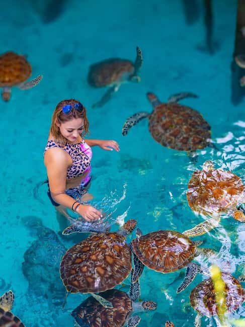 ZANZIBAR: Jozani Forest and Turtle Sanctuary Tour - What’s Included and What to Expect