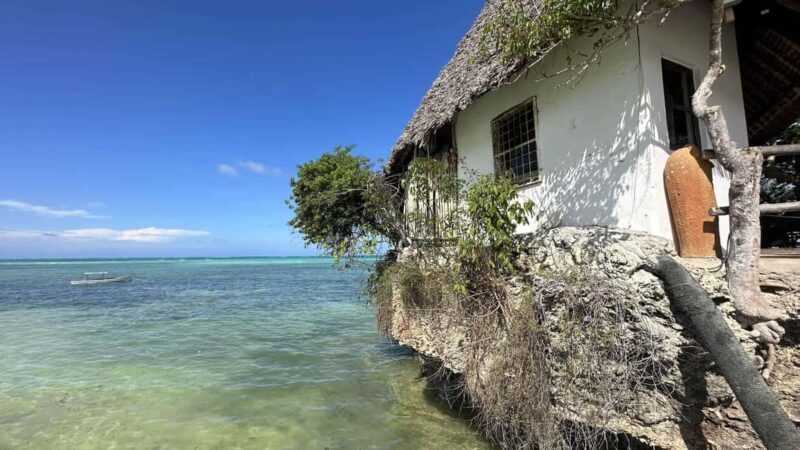 Zanzibar: Jozani forest, Blue Lagoon, Starfish & The Rock - An Introduction to the Tour Experience