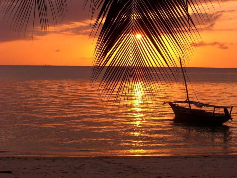 Zanzibar - Jozani Forest & Blue Lagoon trip - Introduction