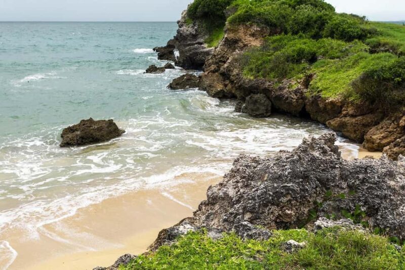 Zanzibar - Jozani Forest & Blue Lagoon trip - Key Points