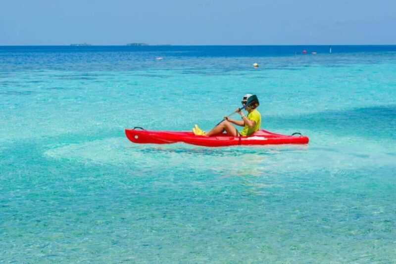 Zanzibar: Jozani Forest, Butterfly and Mangrove Kayaking - An Introduction to the Tour Experience