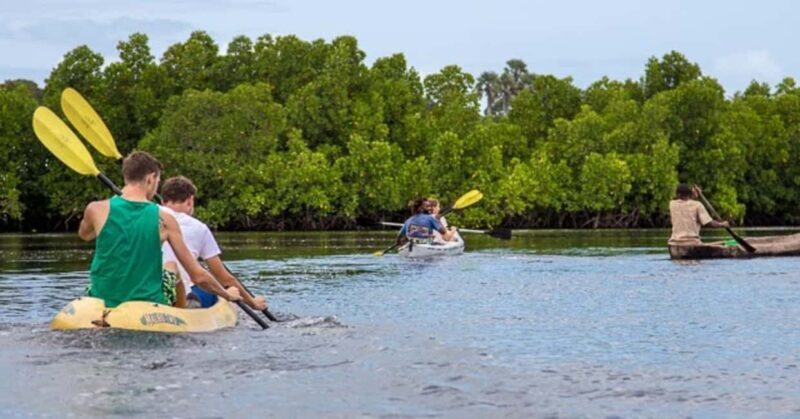 Zanzibar: Jozani Forest, Butterfly and Mangrove Kayaking - Practical Details & What to Expect